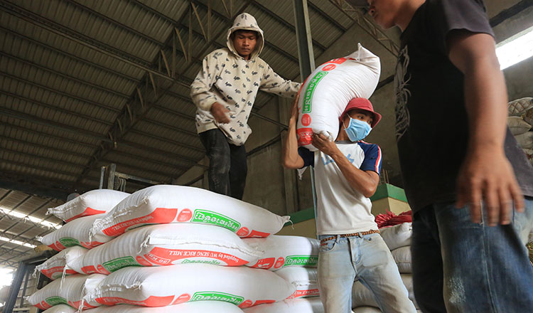 Cambodia rice exports jump 67.5% to nearly 800K tonnes